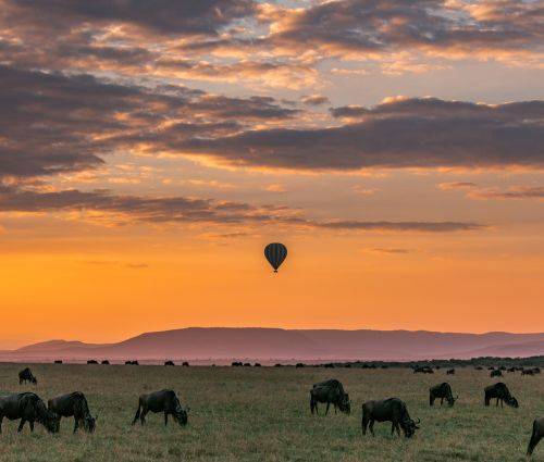 Safari in Tanzania 12 giorni