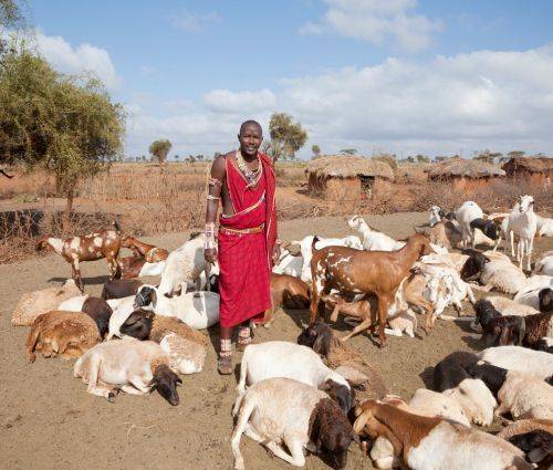 Safari in Tanzania 7 giorni