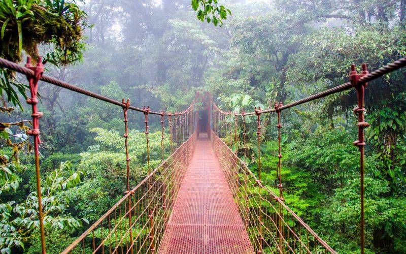 ponti sospesi Monteverde