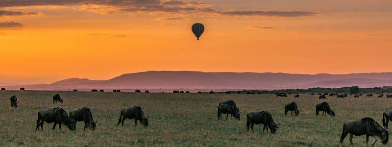 Safari in Tanzania 14 giorni